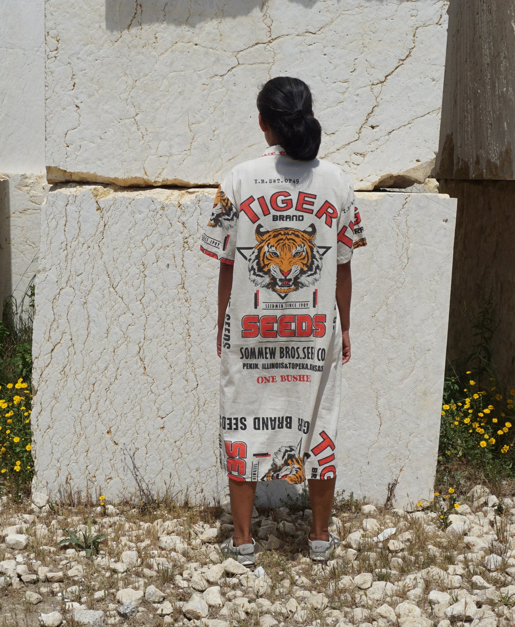 Botões de vestido de tigre