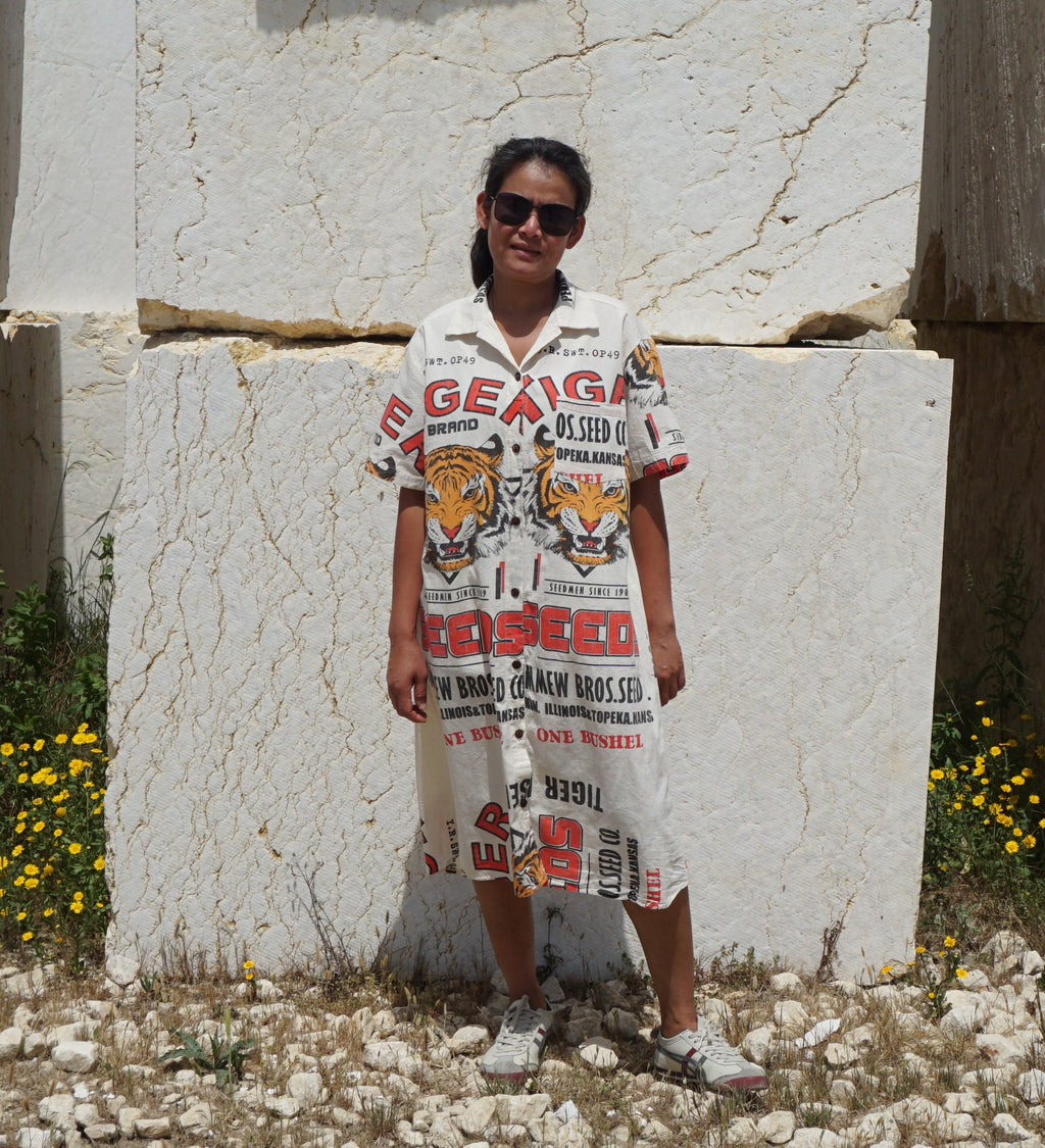 Botões de vestido de tigre